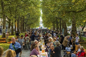 Festival on the main street