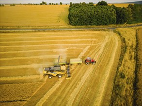 Grain harvest in a field near Babisnau on the outskirts of Dresden