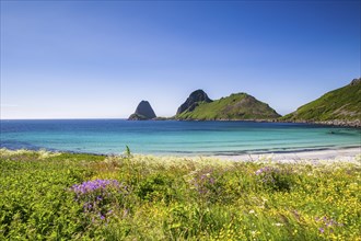 Sandvika beach near Nykvag, Langoya island, Vesteralen archipelago, Norway, Europe