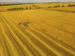 Grain harvest in a field near Babisnau on the outskirts of Dresden