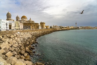 Waterfront and the Cathedral of Cadiz, Andalusia, Spain, Europe