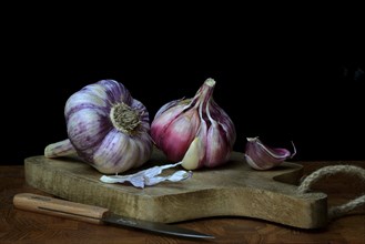 Fresh red garlic on chopping board, France, Europe