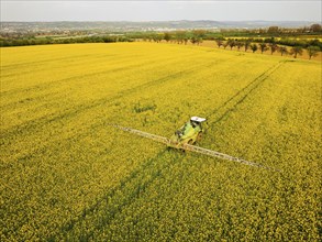 Crop protection products are applied to a rapeseed field on the outskirts of Dresden