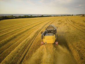 Grain harvest in a field near Babisnau on the outskirts of Dresden