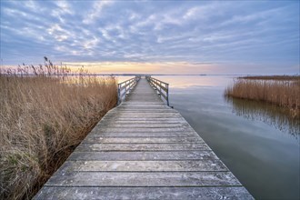 Bathing area with jetty at Bodstedter Bodden at sunrise, Western Pomerania Lagoon National Park,