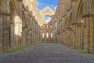 Nave, crossing and choir, church ruins of the Cistercian Abbey of San Galgano, Abbazia San Galgano,