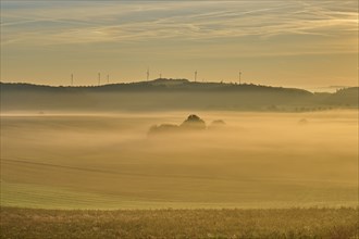 Landscape, fields, wind turbines, fog, sunrise, Höhefeld, Wertheim, Baden-Württemberg, Germany,