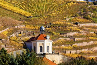 Wackerbarth Castle or Wackerbarths Ruh is a Baroque castle surrounded by vineyards in the