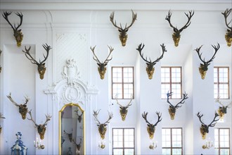 Moritzburg Baroque Palace Dining Room