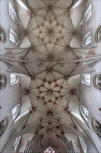 Ceiling vault of the Basilica Sankt Kastor, Koblenz, Rhineland-Palatinate, Germany, Europe