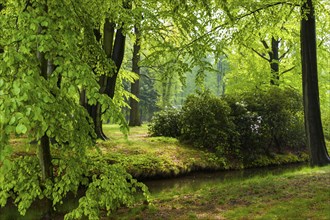 Gaussig Castle Park