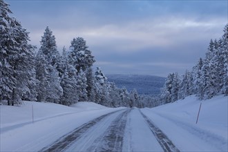 Snow-covered road 955 on the way to Inari in winter, Lapland, Finland, Europe