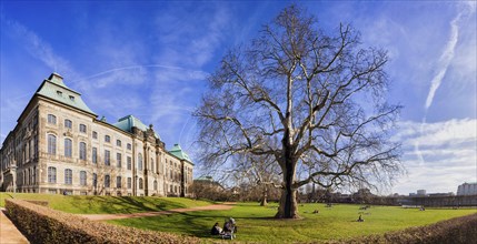 Dresden Silhouette with Japanese Palace