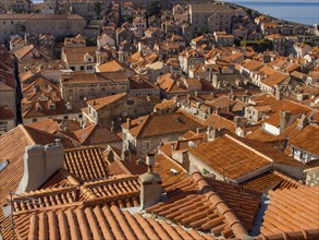 Close-up of red tiled roofs in a historic town, dubrovnik, Mediterranean Sea, Croatia, Europe