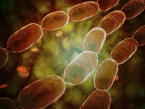 Microscopic view of bacterial pneumonia. Bacterial pneumonia is a type of pneumonia caused by