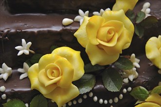 Detail of icing sugar decorations on a chocolate cake