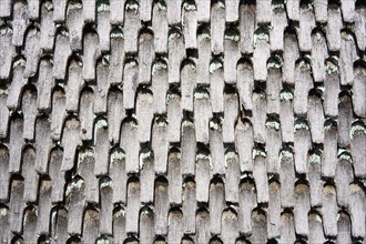 Wooden shingle façade, Dietges, Rhön, Hesse, Germany, Europe