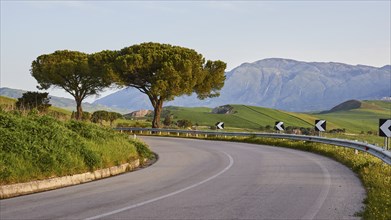 Road, curve, crash barriers, trees, mountains, Madonie National Park, spring, Sicily, Italy, Europe