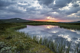 Lake in the landscape of the Hardangervidda plateau, Norway, Europe