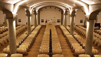 Long room with rows of wine barrels under a vaulted ceiling, illuminated by subdued light, Donna