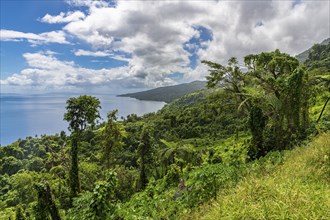 Overlook over the coastline of Taveuni, Fiji, South Pacific, Oceania