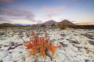 Autumn landscape in Rondane National Park, Norway, Europe