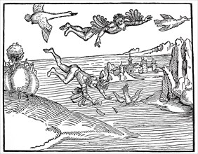 Illustration to the mirror of true rhetoric, the fall of Icarus, woodcut by Albrecht Dürer,