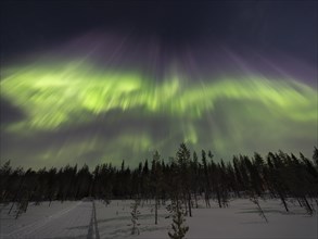 Colourful Northern Lights over Lapland, Finland, Europe