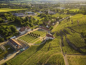 Wackerbarth Castle, originally Wackerbarths Ruh', is a Baroque castle surrounded by vineyards in