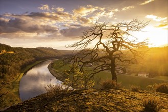 The Leopoldsnase viewpoint is a vantage point near Rathen. A dead pine tree high above the Elbe