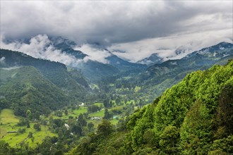 Overlook over the Valle de Cocora, Unesco site coffee cultural landscape, Salento, Colombia, South