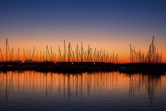 Lake Cospuden