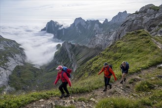 Hiker on hiking trail to Säntis, Appenzell Ausserrhoden, Appenzell Alps, Switzerland, Europe