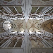 Limburg Cathedral St. George, interior view with view upwards to the vault, Limburg an der Lahn,