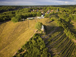 Wackerbarth Castle, originally Wackerbarths Ruh', is a Baroque castle surrounded by vineyards in