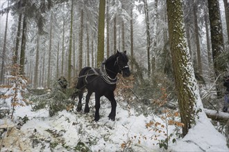 Winter in the Ore Mountains