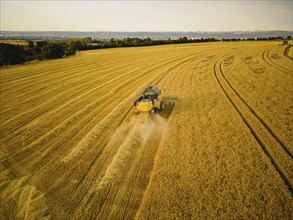 Grain harvest in a field near Babisnau on the outskirts of Dresden