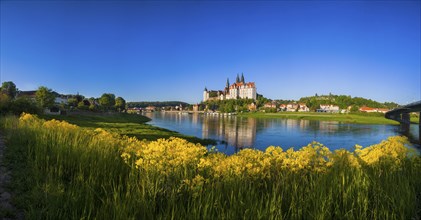 Meissener Scherenschnitt