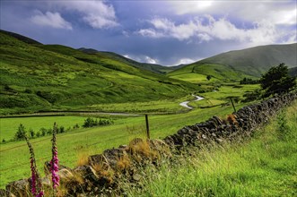 The valley of the Billhope Burn near Hermitage Castle, Newcastleton, Roxburghshire, Border Region,