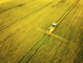 Crop protection products are applied to a rapeseed field on the outskirts of Dresden