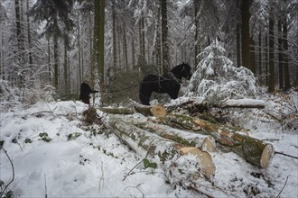 Winter in the Ore Mountains