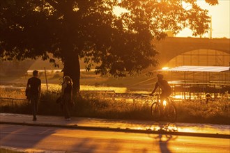 Cyclists on the Elbe cycle path in the light of the setting sun