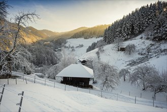 Snowy Black Forest Farm, Oberhamersbach, Black Forest, Baden-Württemberg, Germany, Europe