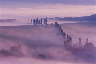 Königstein Fortress