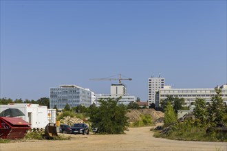 Since mid-June, a 9-strong team from the Saxony State Office for Archaeology has been investigating