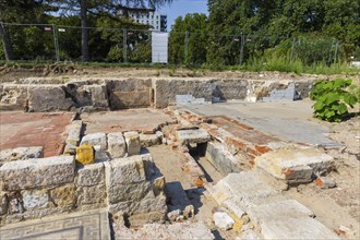 Since mid-June, a 9-strong team from the Saxony State Office for Archaeology has been investigating