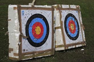 Sport, shot target during archery