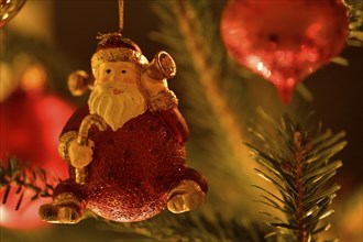 Christmas decoration Father Christmas hangs on fir tree