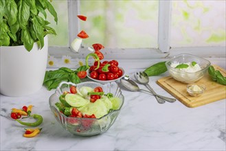 Fresh vegetables on board, salad ingredients, cucumber, tomatoes, basil, pepperoni, onion, garlic,