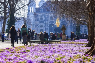 Spring on the main street in Dresden